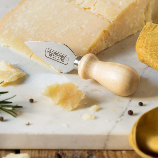 Parmigiano Reggiano Cheese Box and Spoon Grater EMILIA FOOD LOVE - EMILIA  FOOD LOVE Selected with love in Italy